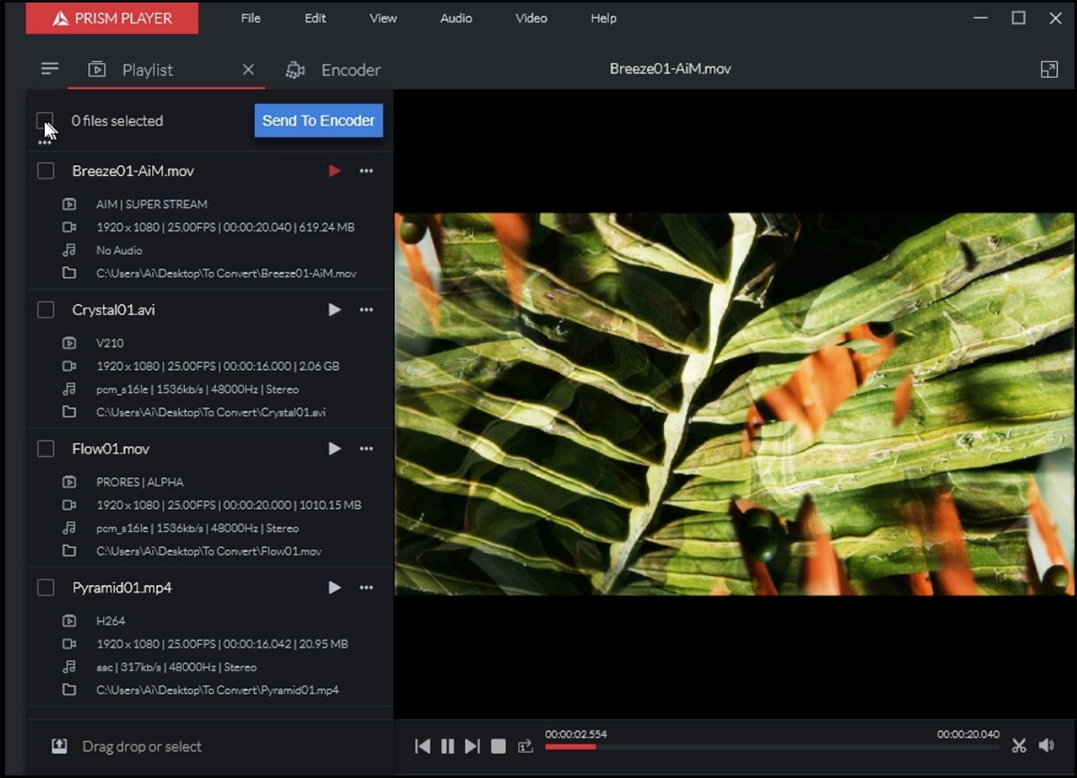 PLAYLIST_WEB_UPDATE-3199457559